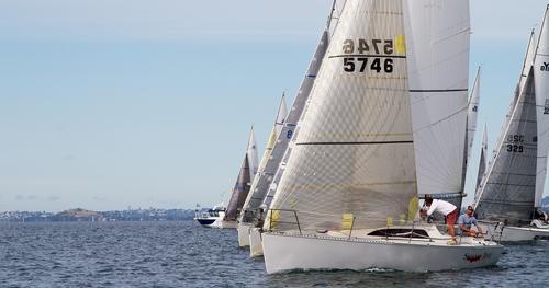 Start line 2013 Harken Young 88 Nationals Photo: Paul Stubbs © SW